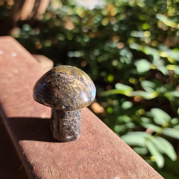 Laboradite hand carved mushroom 3" - Picture 4 of 10